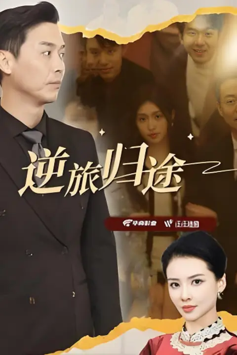 《逆旅归途》封面