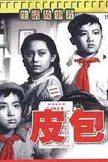 《皮包》封面