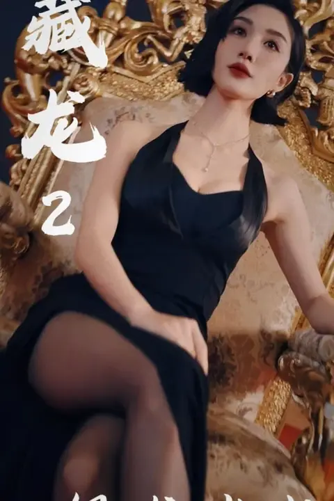 《藏龙2银龙出水》封面