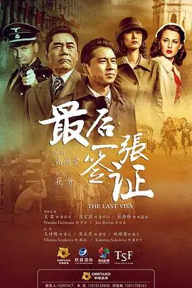 《最后一张签证》封面