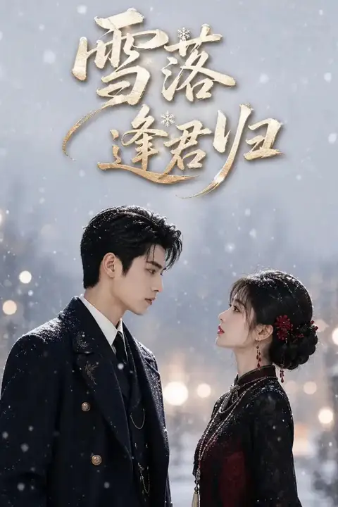 《雪落逢君归》封面