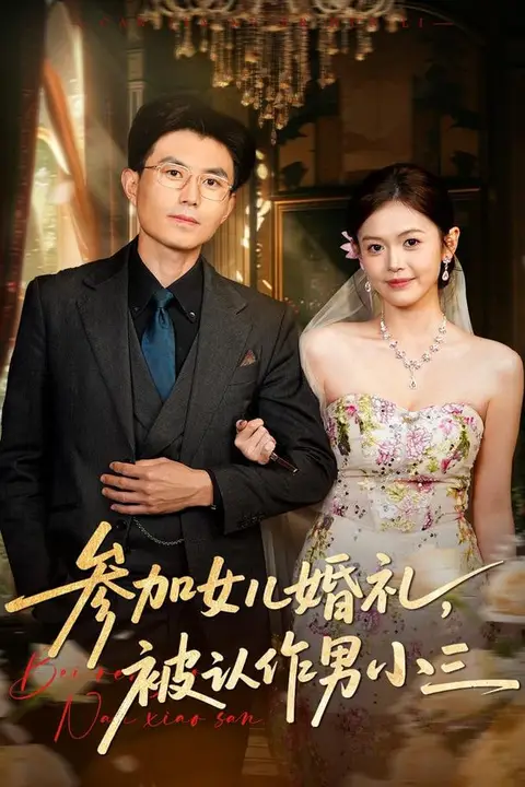 《参加女儿婚礼，被认作男小三》封面