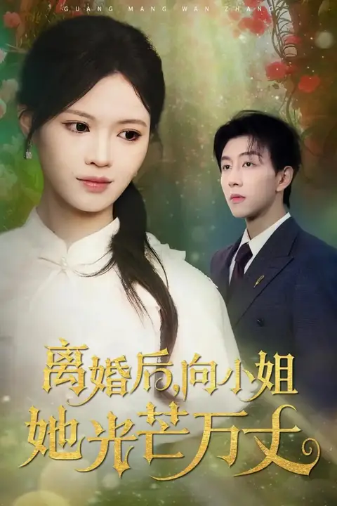 《离婚后向小姐她光芒万丈》封面