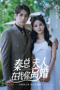 《秦总，夫人在找你离婚》封面