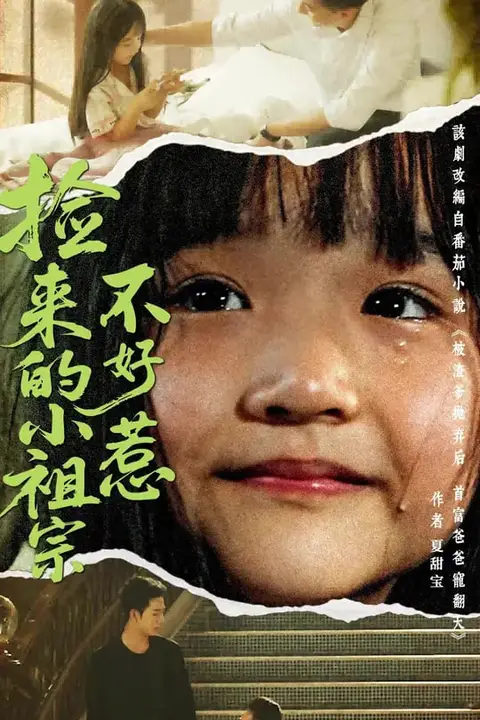 《捡来的小祖宗不好惹》封面