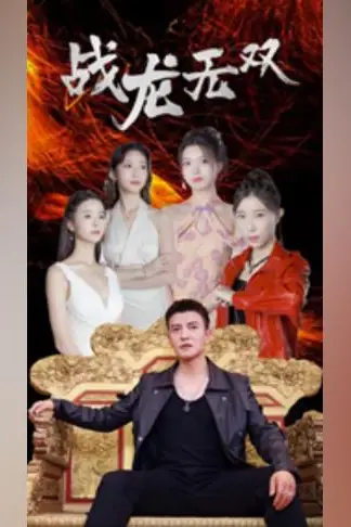《战龙无双》封面