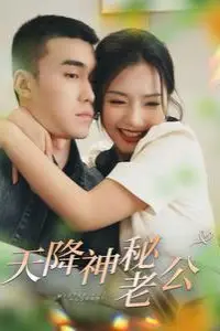《天降神秘老公》封面