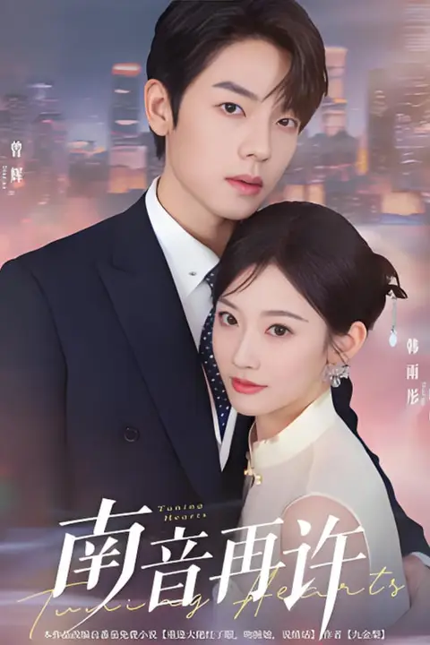 《南音再许》封面
