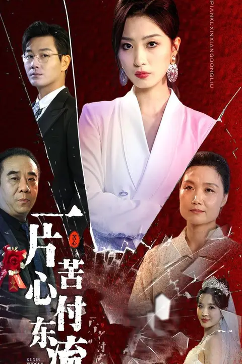 《一片苦心付东流（女儿的荣耀）》封面
