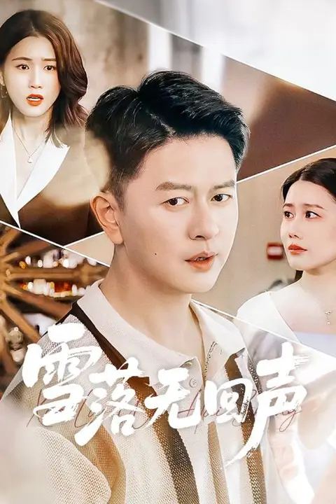 《雪落无回声》封面