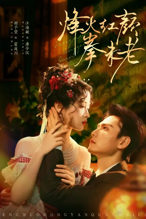 《烽火红颜拳未老》封面