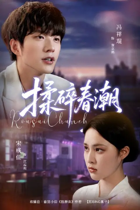 《揉碎春潮》封面