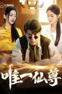 《唯一仙尊》封面