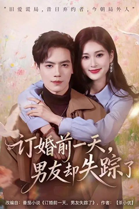 《订婚前一天,男友却失踪了》封面
