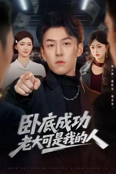 《卧底成功老大可是我的人》封面