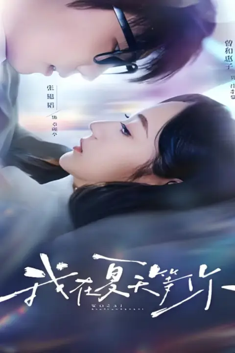 《我在夏天等你》封面