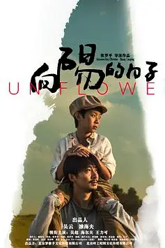 《向阳的日子》封面