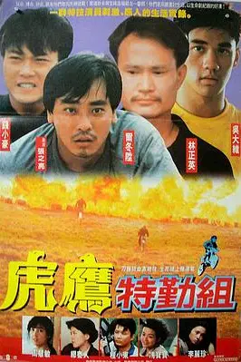 《玩命双雄》封面
