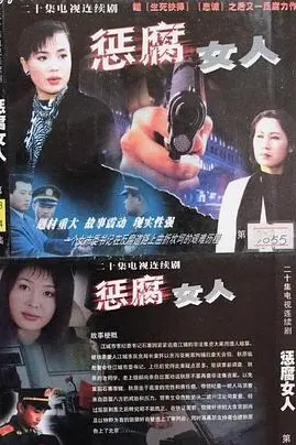 《惩腐女人》封面