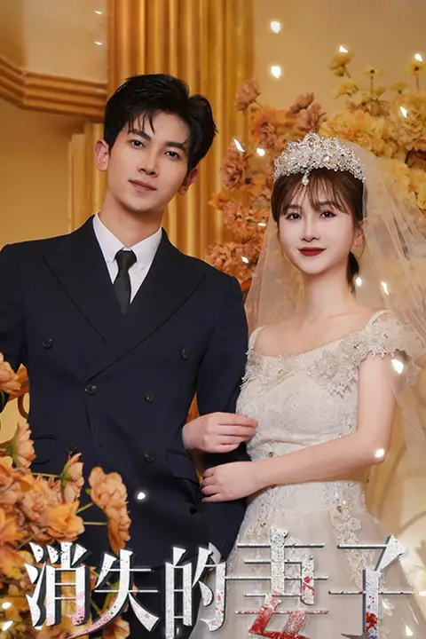 《新:消失的妻子》封面