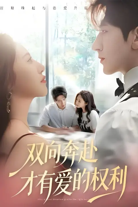 《双向奔赴才有爱的权利》封面