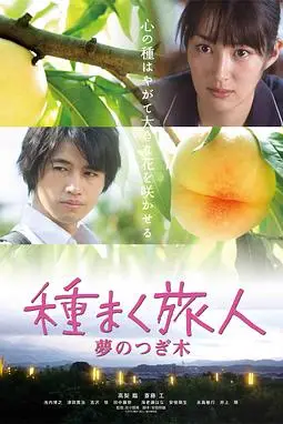 《播种的旅人》封面
