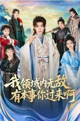 《我领域内无敌，有本事你过来啊》封面
