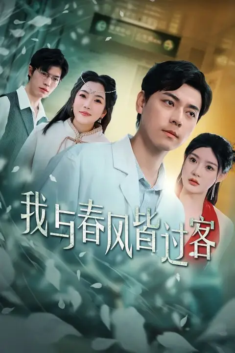 《我与春风皆过客》封面
