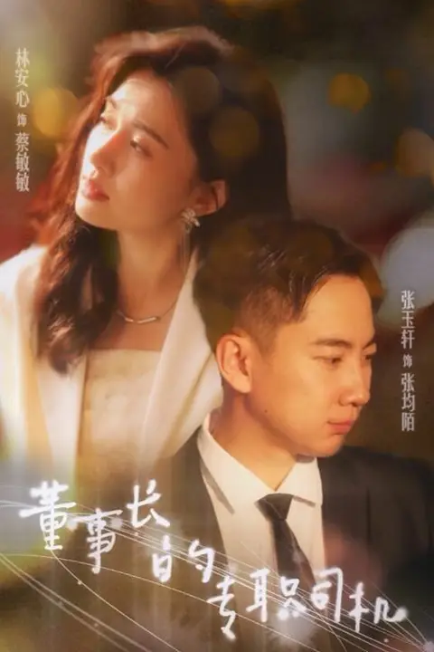 《董事长的专职司机》封面