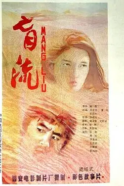 《盲流》封面