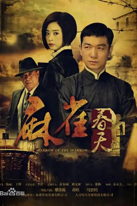 《麻雀春天》封面