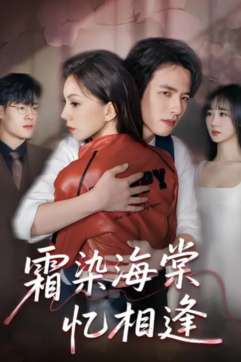 《霜染海棠忆相逢》封面