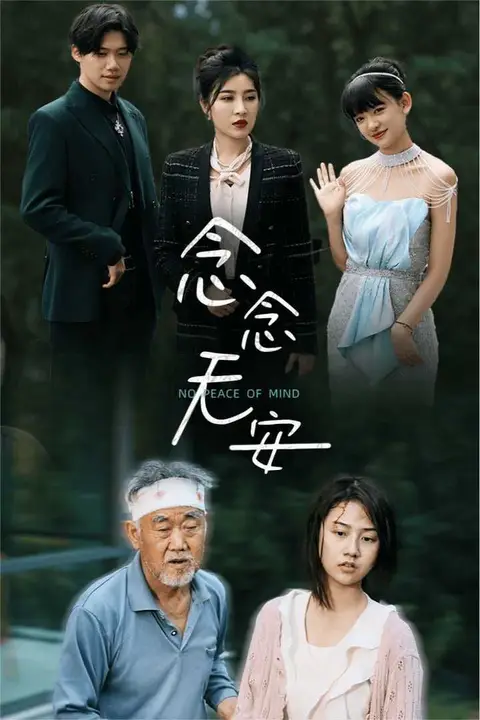 《念念无安》封面