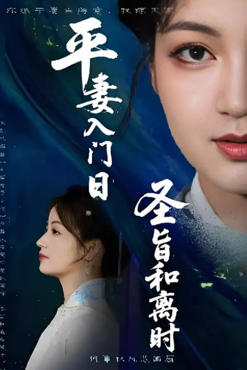 《平妻入门日圣旨和离时》封面