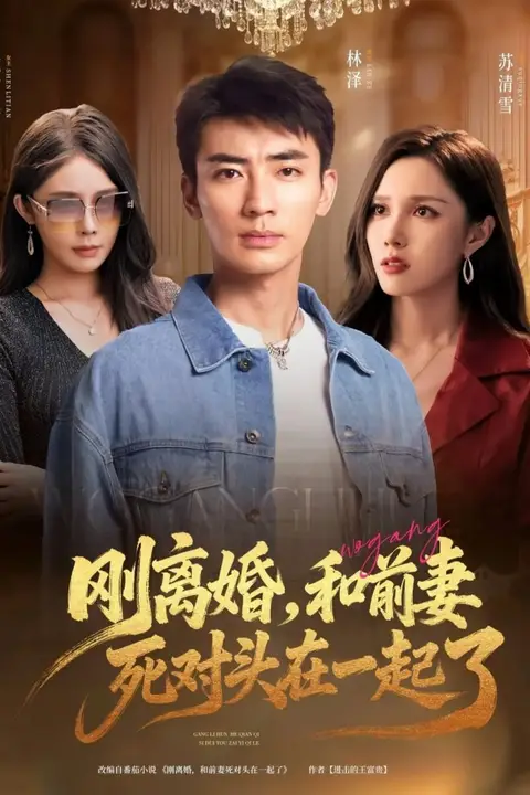 《刚离婚和前妻死对头在一起》封面
