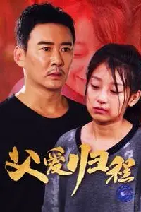 《父爱归程》封面