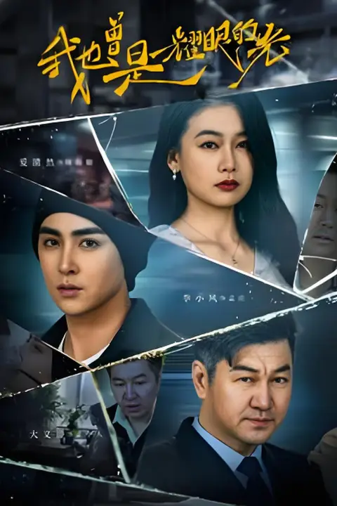《我也曾是耀眼的光》封面