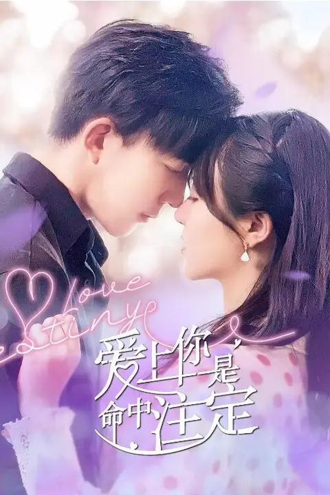 《爱上你是命中注定》封面