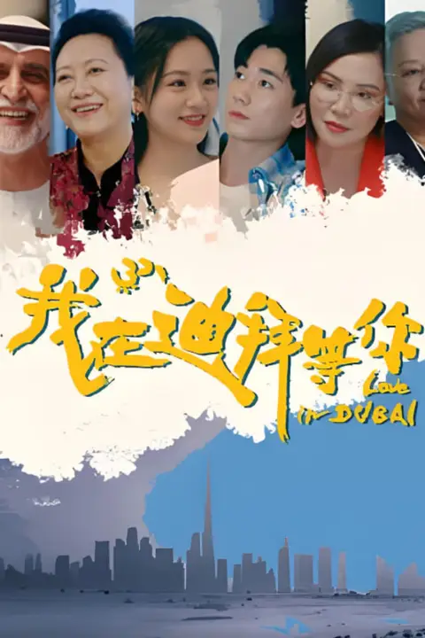 《我在迪拜等你》封面