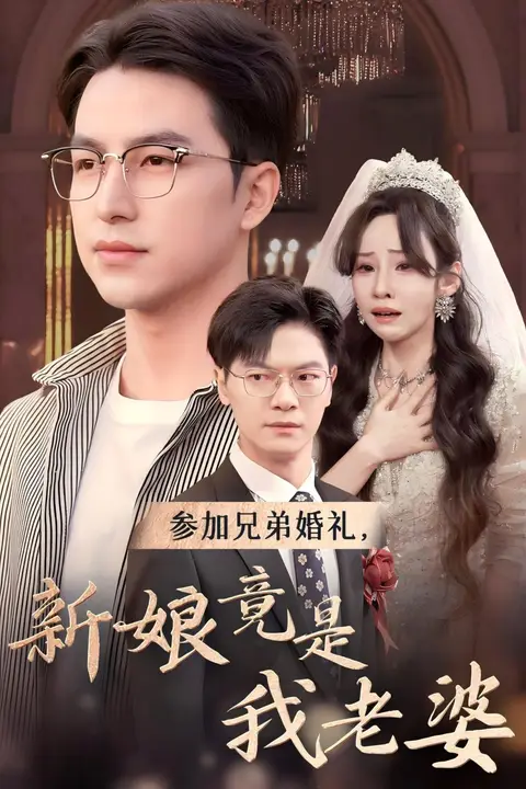 《参加兄弟婚礼，新娘竟是我老婆》封面