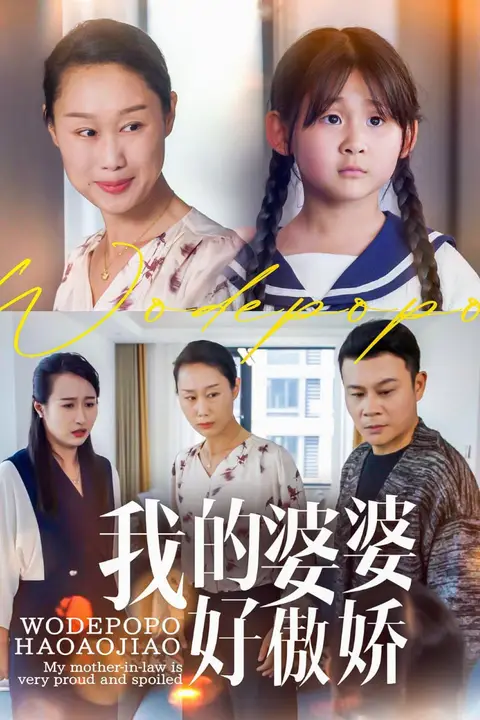 《我的婆婆好傲娇》封面