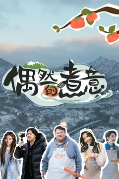 《偶然的煮意》封面