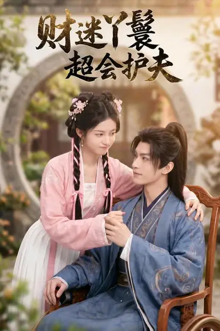 《财迷丫鬟超会护夫》封面