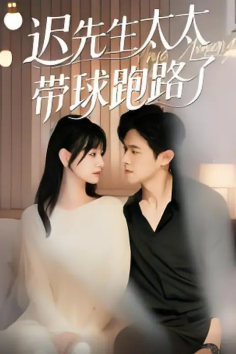 《迟先生太太带球跑路了(迟先生太太到处跑)》封面