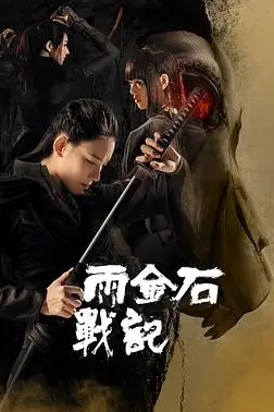 《雨金石战记》封面