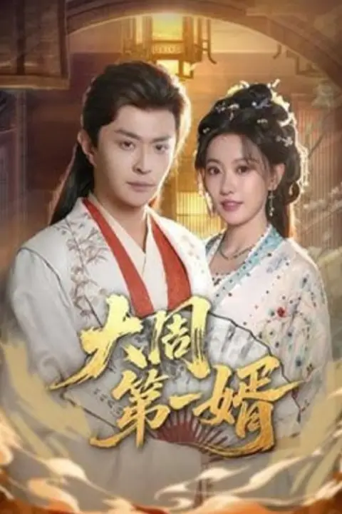 《大周第一婿》封面