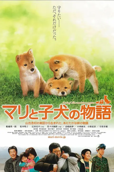 《爱犬的奇迹》封面