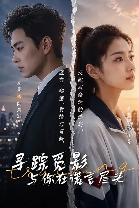 《寻踪觅影:与你在谎言尽头》封面