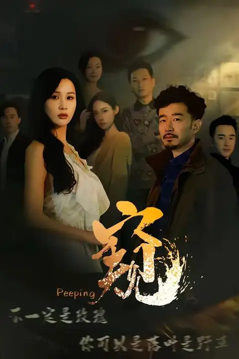 《窥（窥伺）》封面