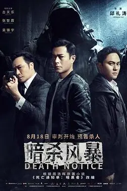 《暗杀风暴普通话版》封面